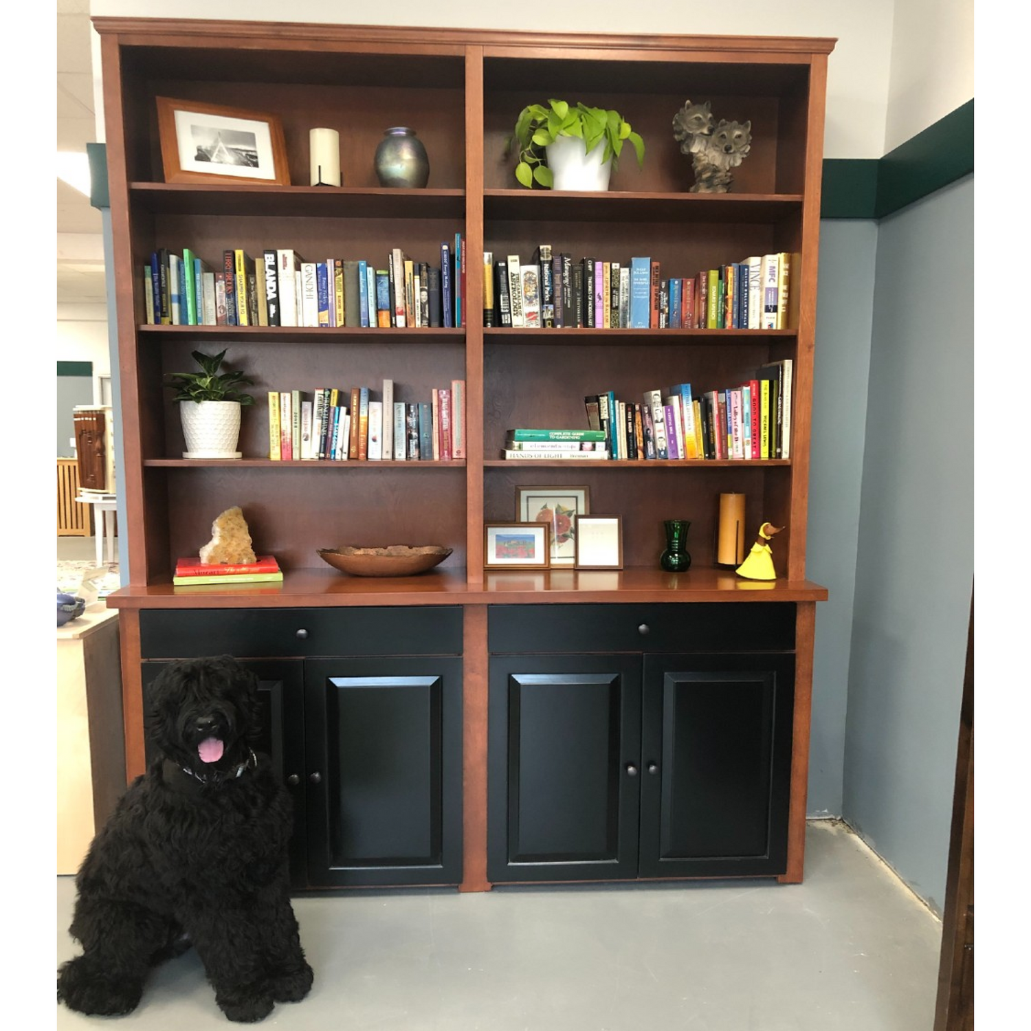 Bookcase with a dog beside it